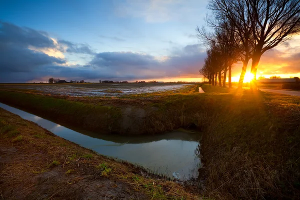 農地の日の出の太陽光線 — ストック写真