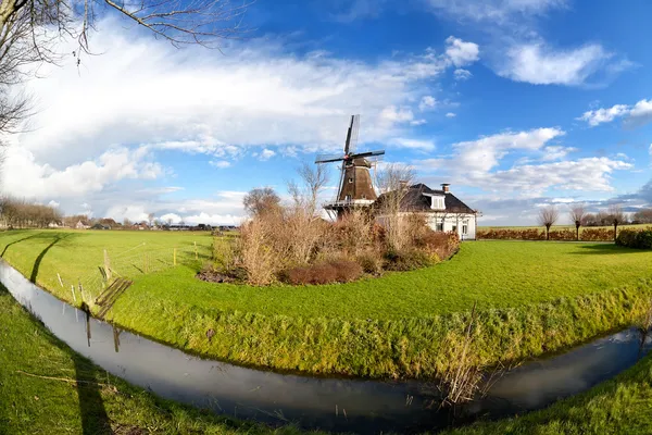 Holländische Windmühle am Kanal auf grüner Weide — Stockfoto