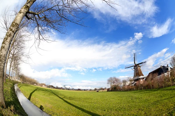Holenderski wiatrak na zielonych pastwiskach — Zdjęcie stockowe