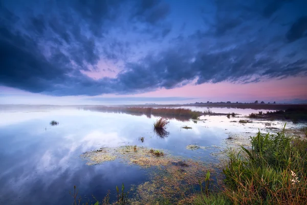 Palude all'alba — Foto Stock