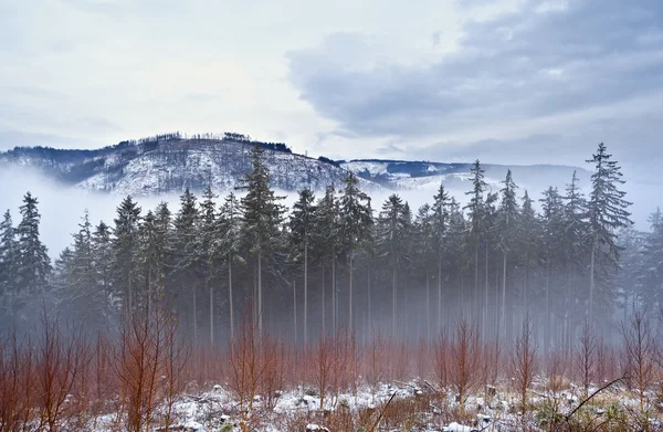 Dimmig dag i harz-bergen — Stockfoto