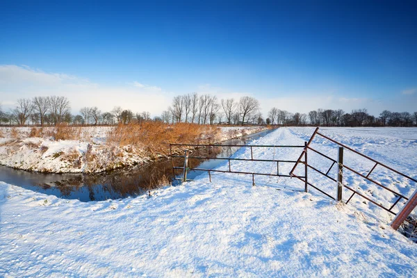 Neve sui pascoli olandesi — Foto Stock