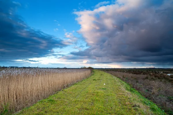 Väg genom träsk i morgon storm — Stockfoto