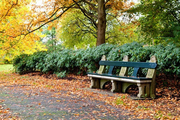 Lavička v podzimním parku — Stock fotografie