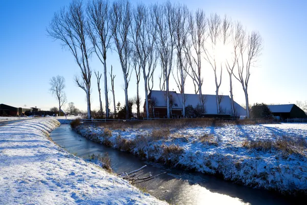 Dutch farmhouse in winter — Stock Photo, Image