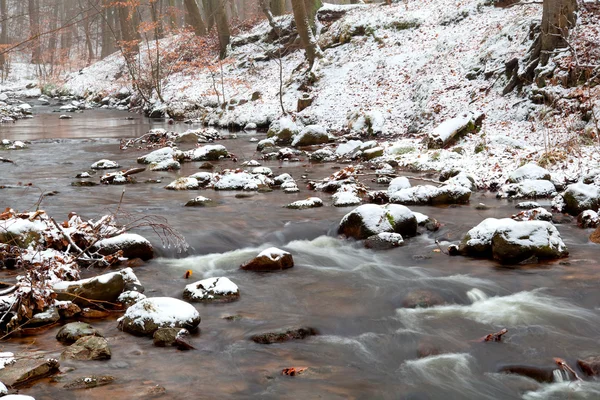 Fiume di montagna nella neve — Foto Stock