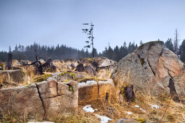 Grosses pierres dans les montagnes du Harz — Photo