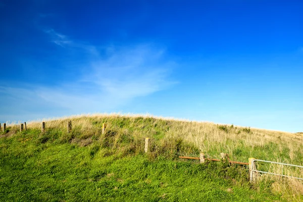 Grön kulle och blå himmel — Stockfoto