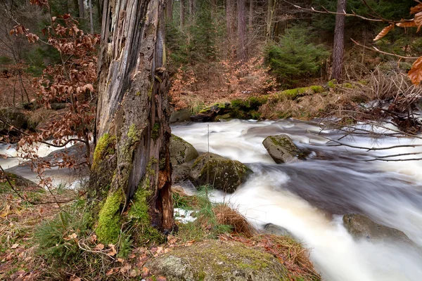 Rivière rapide dans les montagnes du Harz — Photo