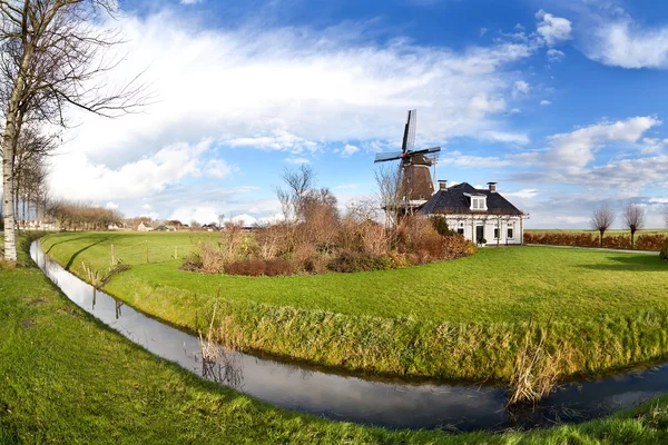 Holländsk väderkvarn under blå himmel — Stockfoto