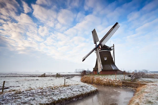 Moulin à vent et paysage nuageux néerlandais — Photo