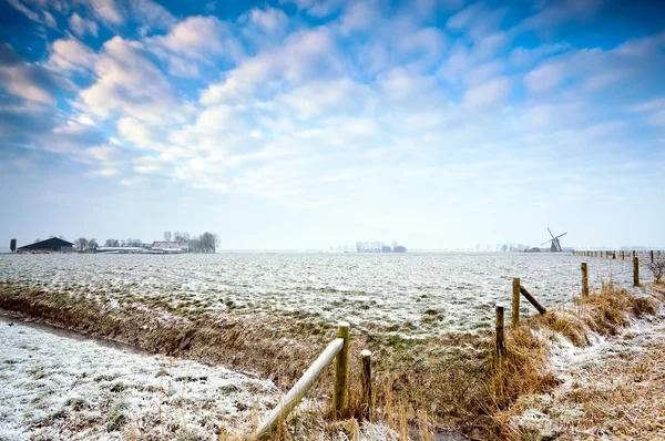 Terras agrícolas holandesas no inverno — Fotografia de Stock