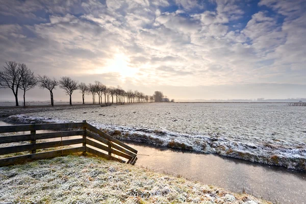 Amanecer sobre pastos de nieve — Foto de Stock