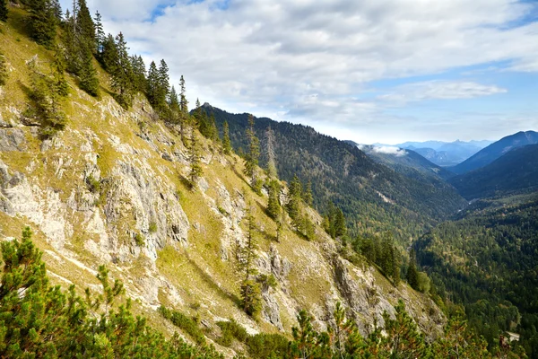 Bavyera Alpleri kayalarda — Stok fotoğraf