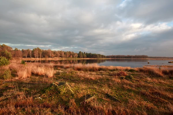Lago a Dwingelderveld al tramonto — Foto Stock