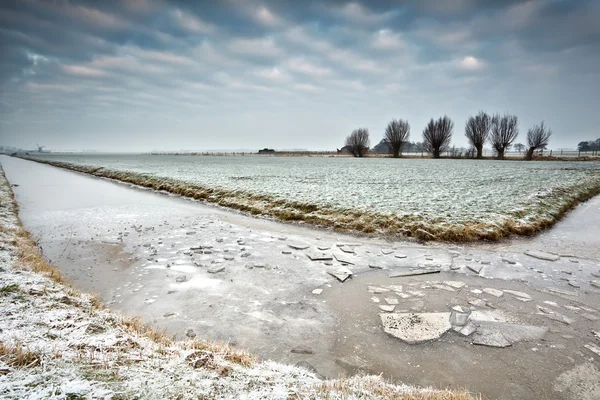 Hielo en el río congelado en tierras agrícolas holandesas —  Fotos de Stock