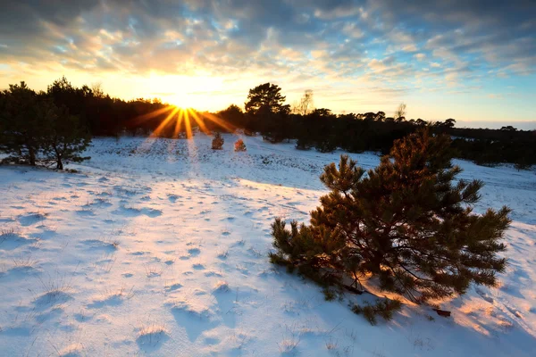 Raios de sol ao pôr do sol sobre colinas nevadas — Fotografia de Stock