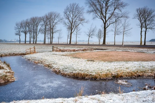 Canal congelado em terras agrícolas neerlandesas — Fotografia de Stock
