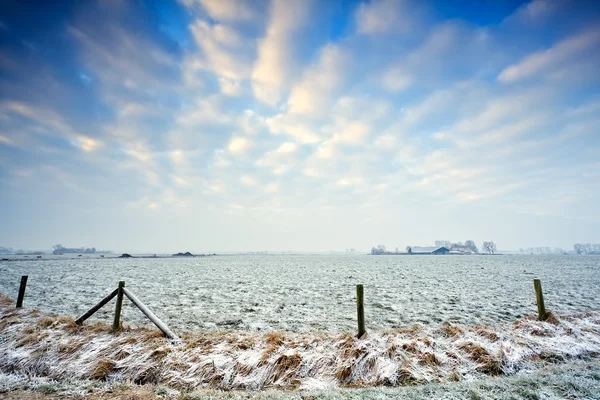 Nederlandse grasland in de winter — Stockfoto