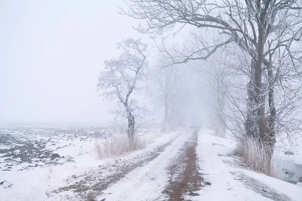 霧と雪の田舎道 — ストック写真