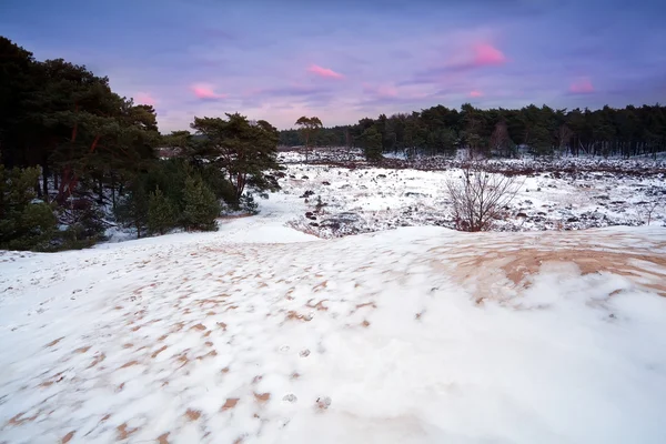 Snö på sanddynerna vid solnedgången — Stockfoto