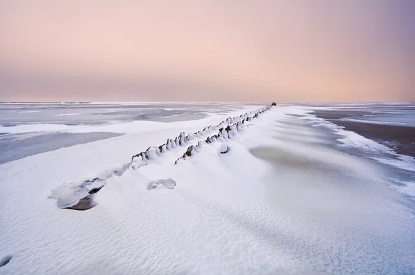 Gammelt bølgebryder i Nordsøen under sne - Stock-foto