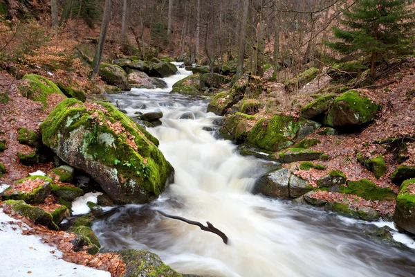 Snelle berg rivier in harz — Stockfoto