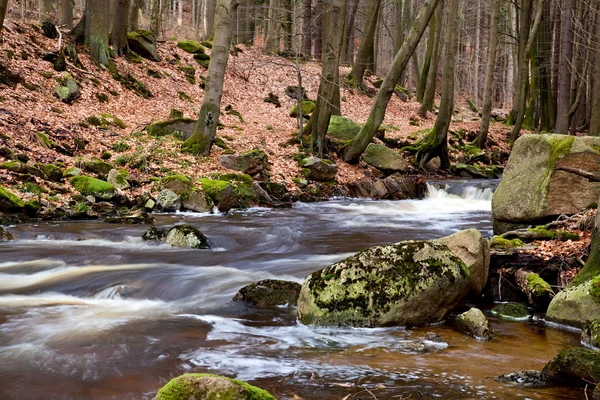 Snabb berg floden — Stockfoto