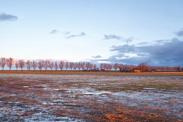 Bondgård på sunrise — Stockfoto