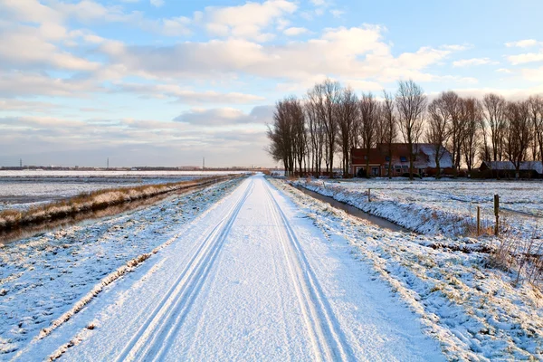 雪の冬のオランダの農家 — ストック写真