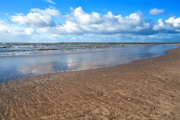 Písčité pláže u Severního moře — Stock fotografie