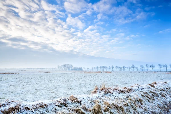 Calma paesaggio invernale — Foto Stock