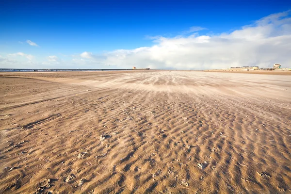 Wietrznej plaży nad Morzem Północnym — Zdjęcie stockowe