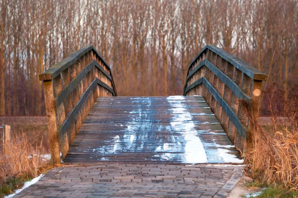 Ponte de madeira sobre o rio — Fotografia de Stock