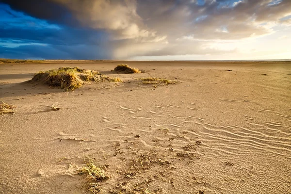 Piaszczystej plaży nad Morzem Północnym w Holandii — Zdjęcie stockowe