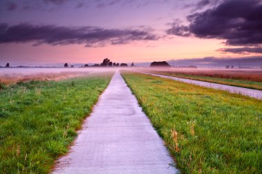 puslu yaz çayır boyunca bisiklet yolu