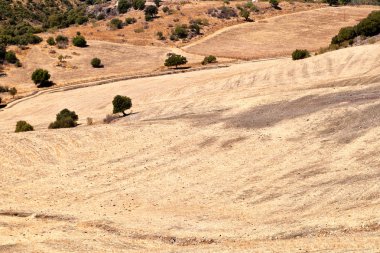 tipik İspanyol peyzaj, montecotro, İspanya
