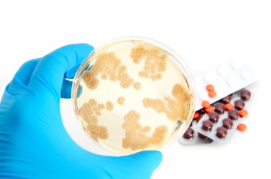 Penicillum fungi on agar plate and antibiotics clipart