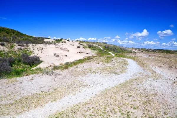 Sti i sanddyner over blå himmel – stockfoto