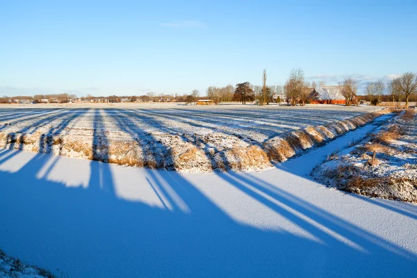 Gestreifte Schatten auf winterlichem holländischem Ackerland — Stockfoto