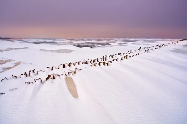 Vieille digue en bois sur la mer du Nord gelée — Photo