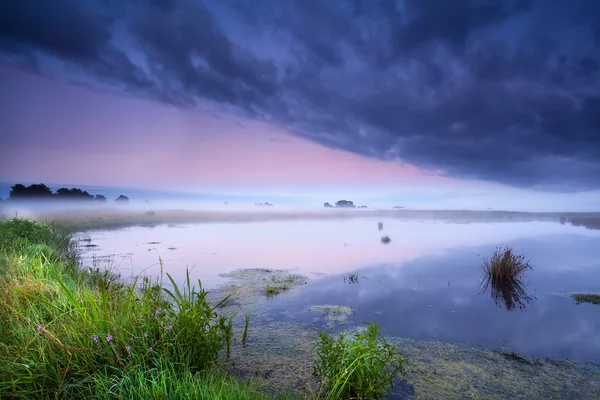 Nebuloso nascer do sol sobre o lago selvagem — Fotografia de Stock