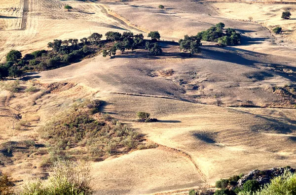 Paisaje rural típico de Andalucía — Foto de Stock