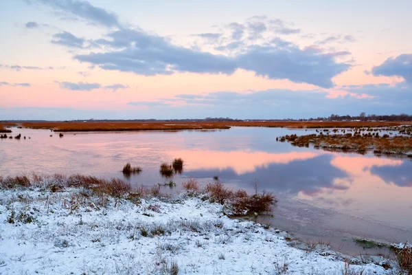 Nascer do sol sobre pântano congelado no inverno — Fotografia de Stock