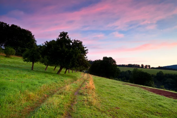 Tramonto drammatico sulla strada rurale — Foto Stock