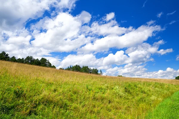 Bellissimo paesaggio nuvoloso sul cielo blu sul prato verde — Foto Stock