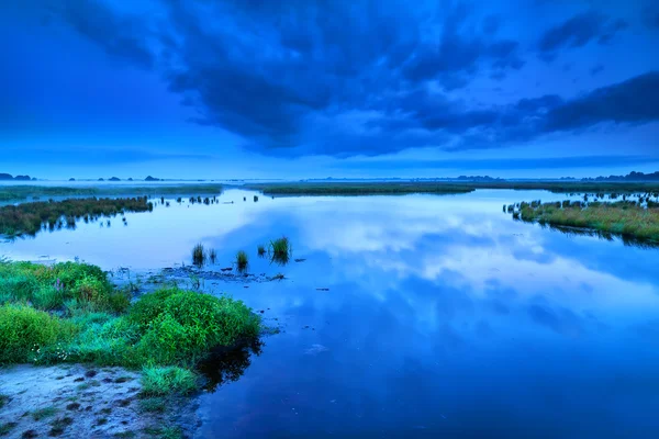 Ранний тихий утренний закат над болотом — стоковое фото