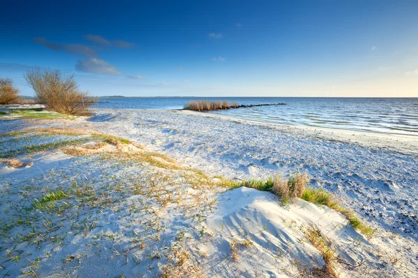 Plage de sable ensoleillée par la mer du Nord — Photo