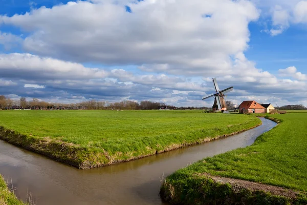 Charmante holländische Windmühle auf grünem Grünland — Stockfoto