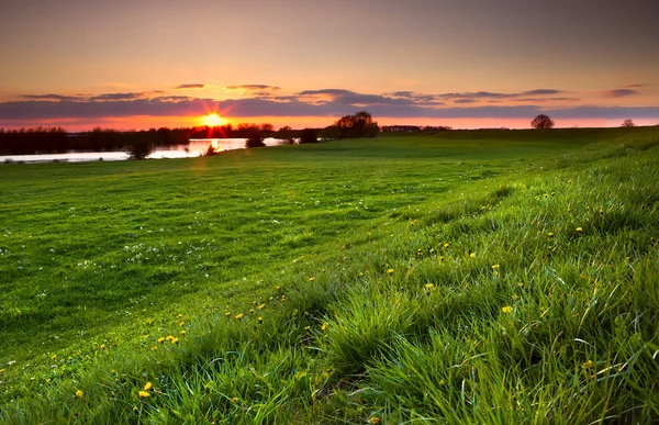 Pôr do sol dramático sobre o prado florido — Fotografia de Stock